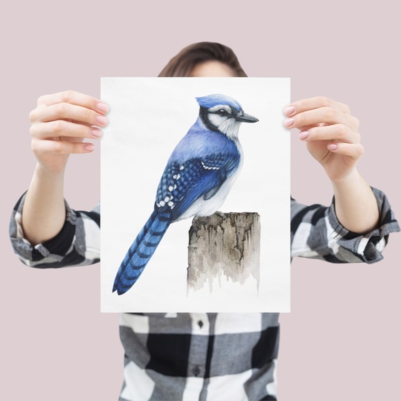 Blue Jay Bird Wall Art Watercolor Illustration Print Poster Card Unframed - Picture 4 of 7
